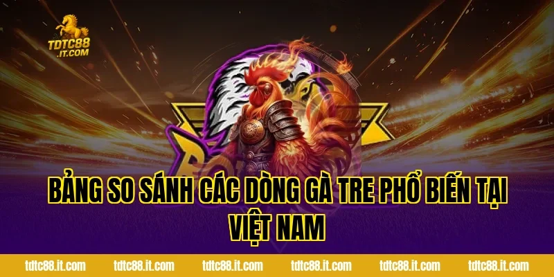 Đá Gà Tre – Đặc Điểm Và Kinh Nghiệm Chọn Gà Hiệu Quả 3 Bảng So Sánh Các Dòng Gà Tre Phổ Biến Tại Việt Nam