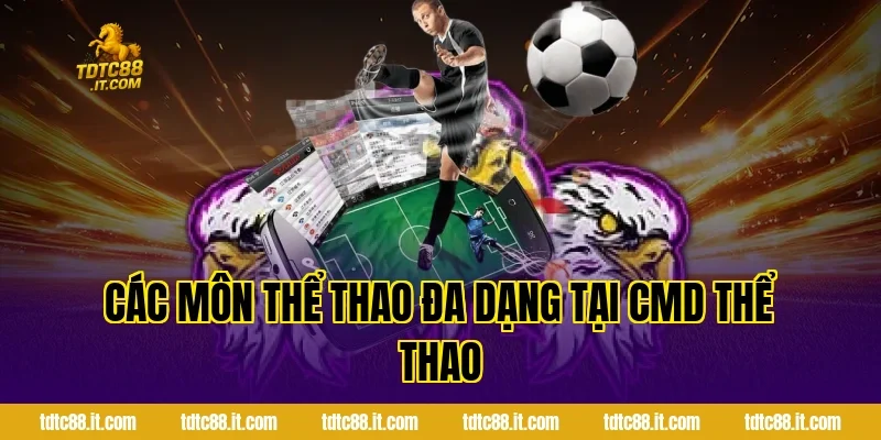 CMD Thể Thao – Nhà Cung Cấp Cá Cược Uy Tín Hàng Đầu 2 Các Môn Thể Thao Đa Dạng Tại CMD Thể Thao