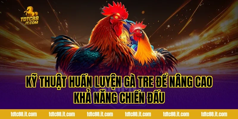 Đá Gà Tre – Đặc Điểm Và Kinh Nghiệm Chọn Gà Hiệu Quả 4 Kỹ Thuật Huấn Luyện Gà Tre Để Nâng Cao Khả Năng Chiến Đấu