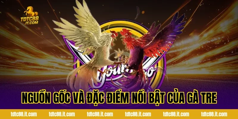 Đá Gà Tre – Đặc Điểm Và Kinh Nghiệm Chọn Gà Hiệu Quả 1 Nguồn Gốc Và Đặc Điểm Nổi Bật Của Gà Tre