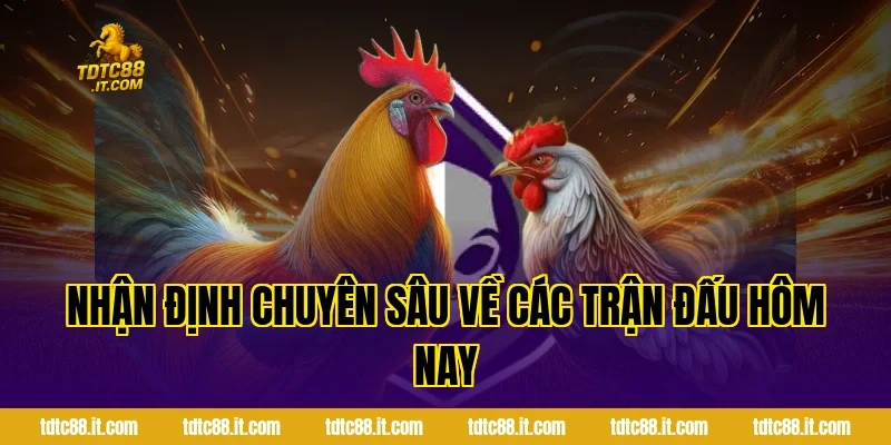 Nhận Định Chuyên Sâu Về Các Trận Đấu Hôm Nay