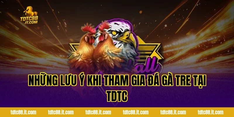 Đá Gà Tre – Đặc Điểm Và Kinh Nghiệm Chọn Gà Hiệu Quả 5 Những Lưu Ý Khi Tham Gia Đá Gà Tre Tại TDTC